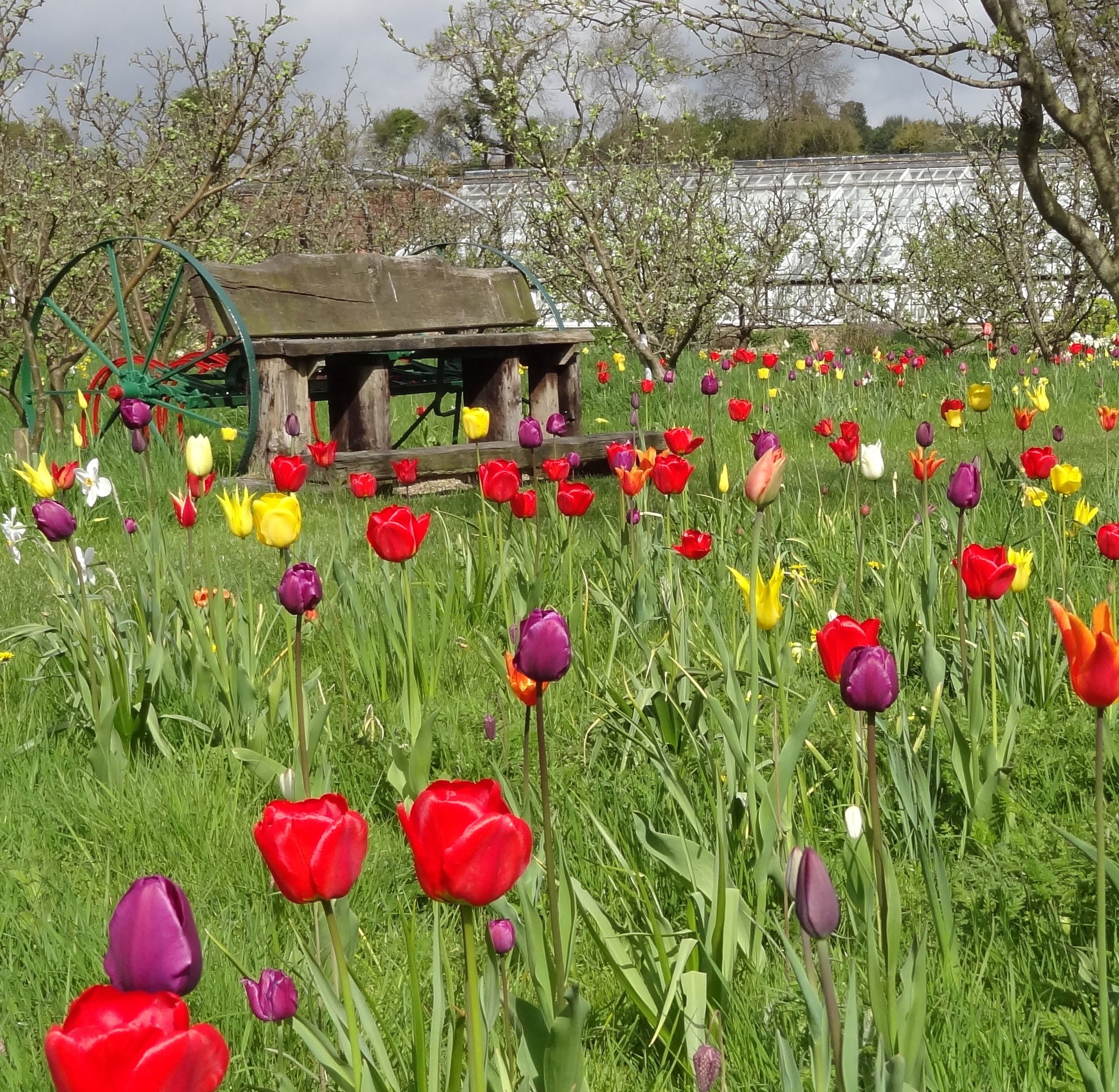 Inspiring Yorkshire Gardens