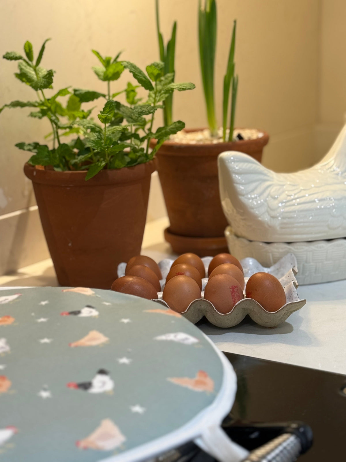 Chickens