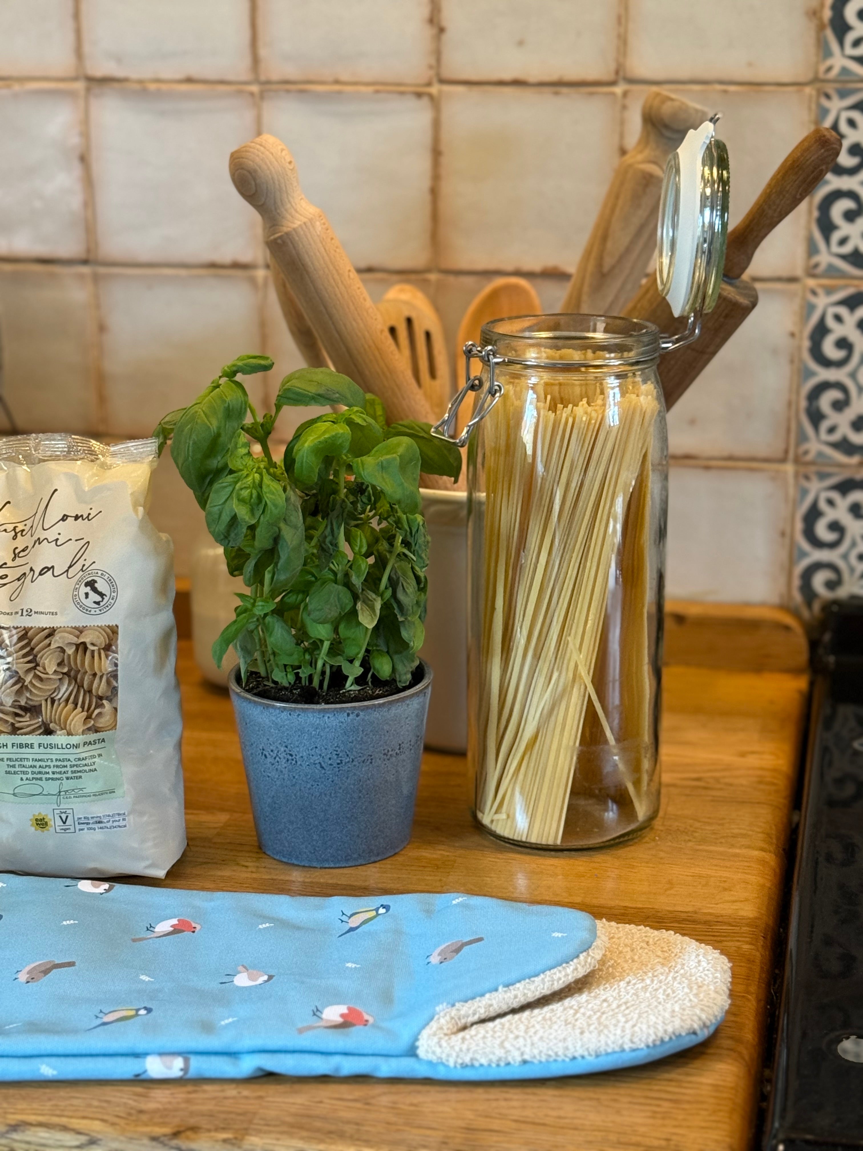 Kitchen counter with a plant, jar of pasta, and blue bird design oven glove.