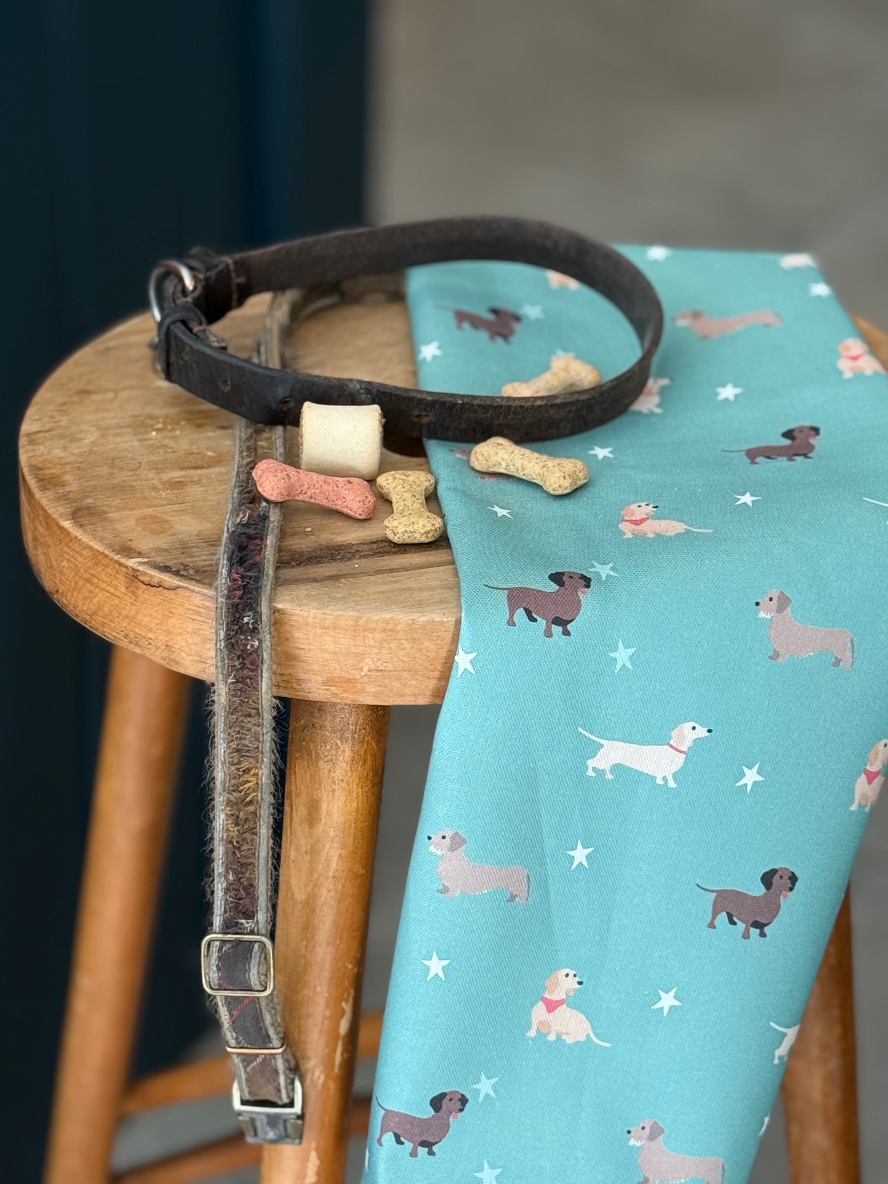 Dog collar on a wooden stool with a green tea  towel featuring a dachshund dog pattern.