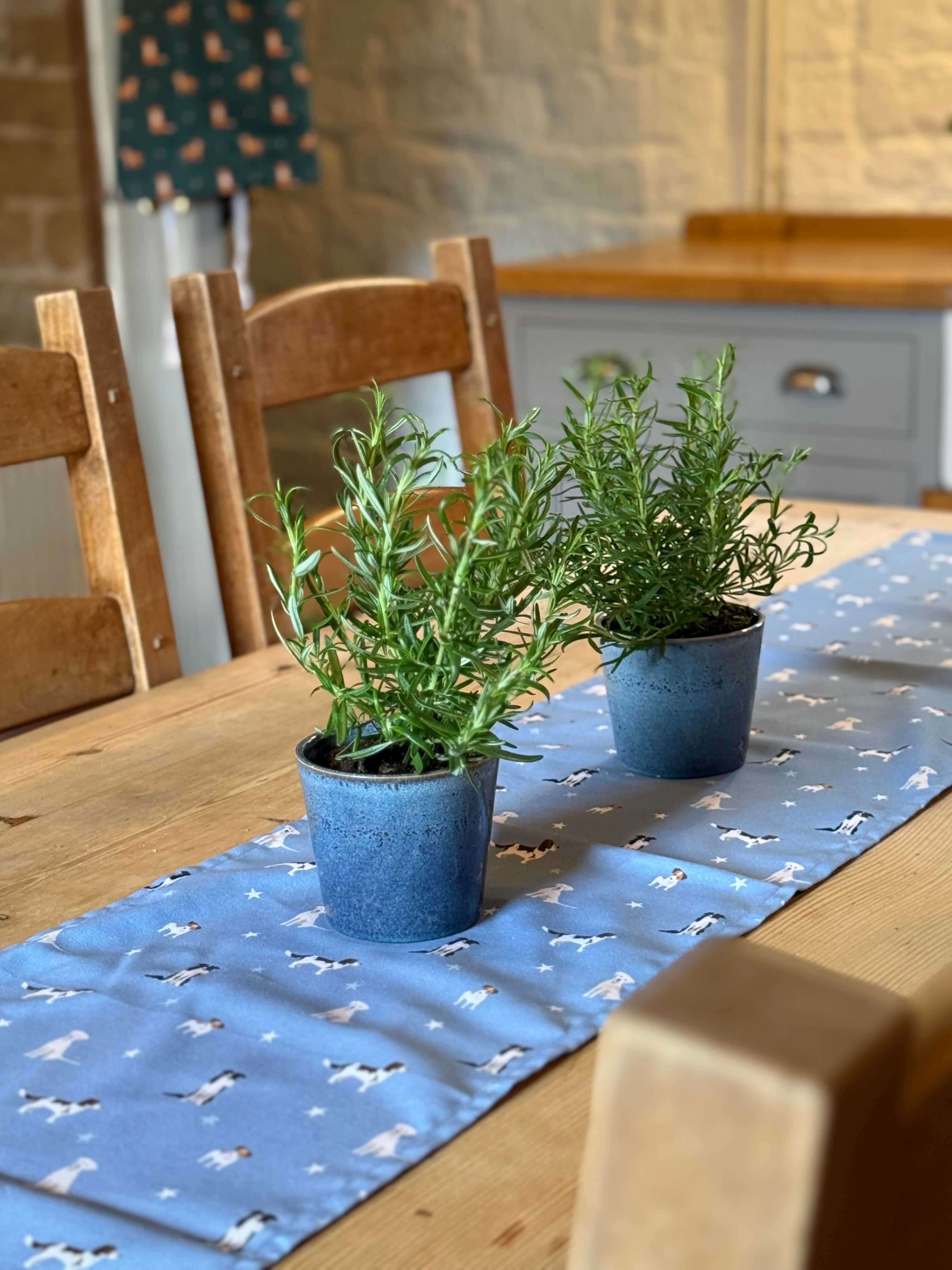 Two potted plants on a wooden table with a blue dogs patterned table runner.