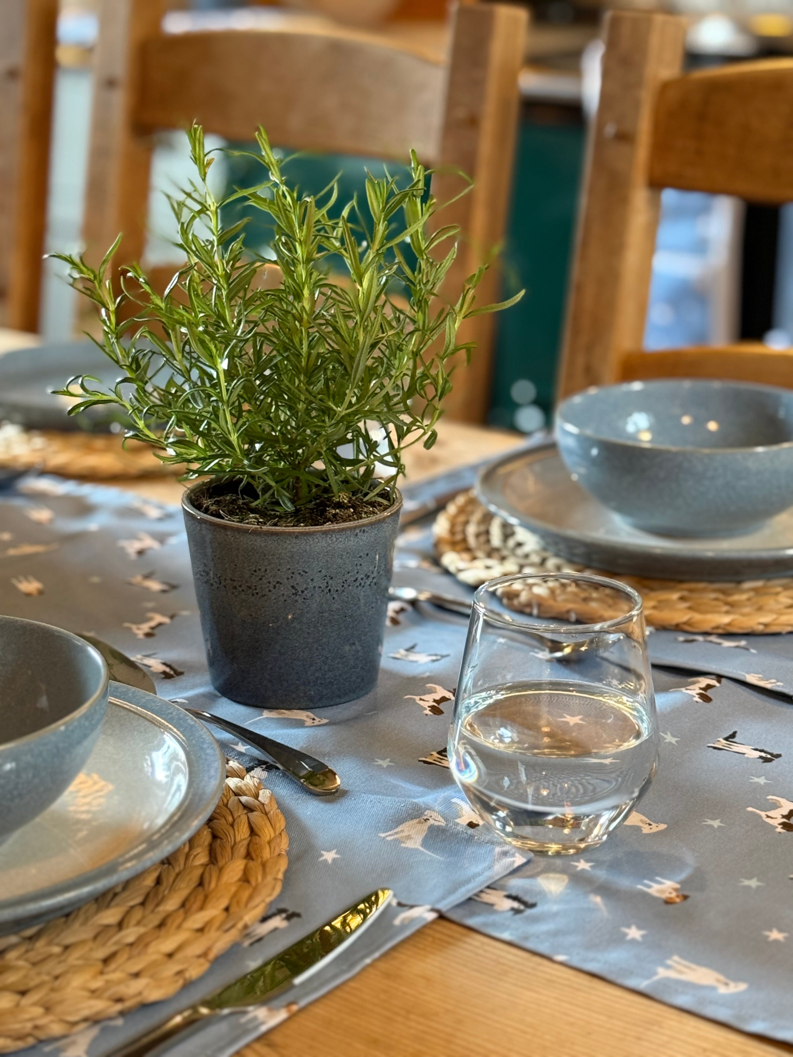 Dining table setting with a potted plant, bowls, and glasses on a blue dog-patterned runner.