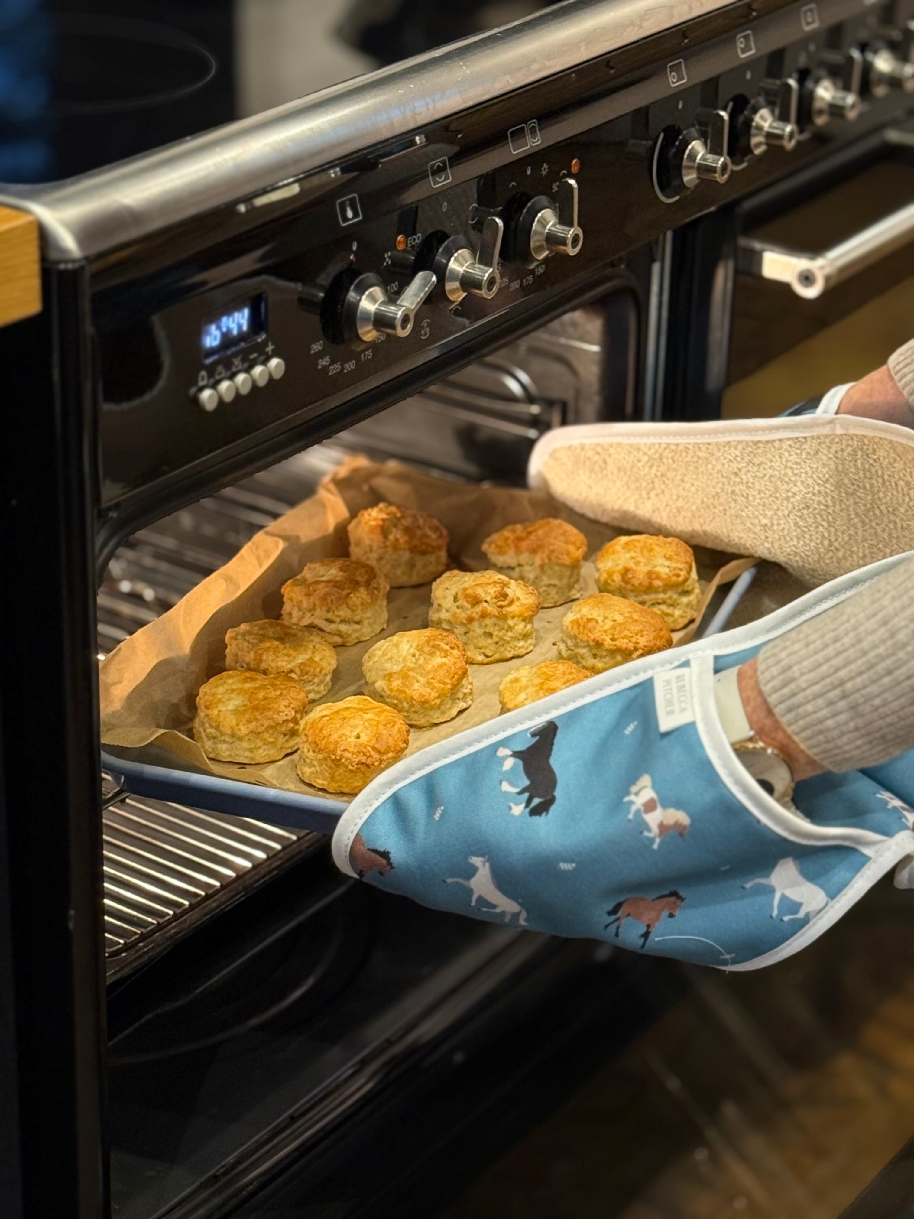 person using blue horse design double oven gloves to take a tray of scones out of the oven