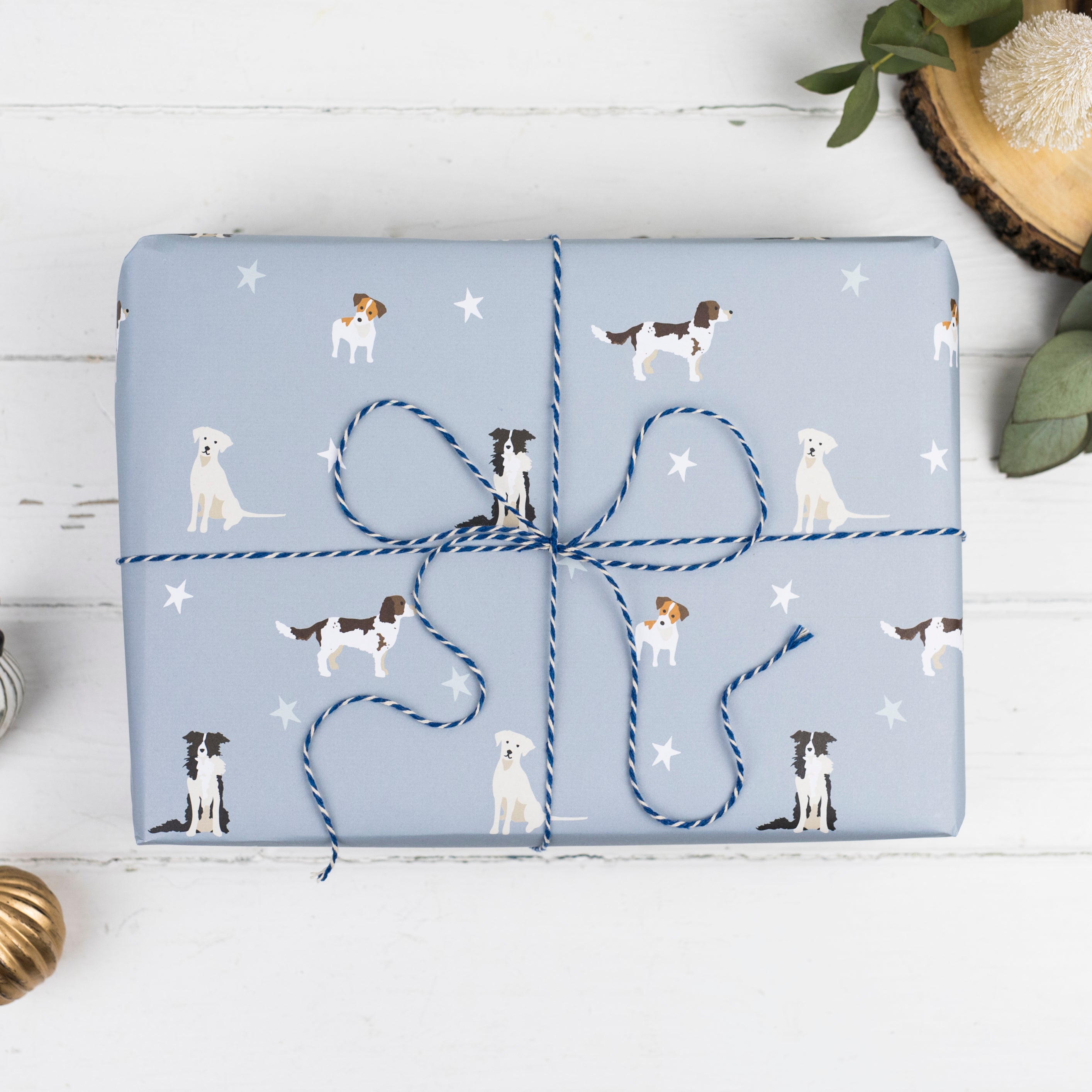 Present wrapped in Rebecca PItcher's Dog design wrapping paper