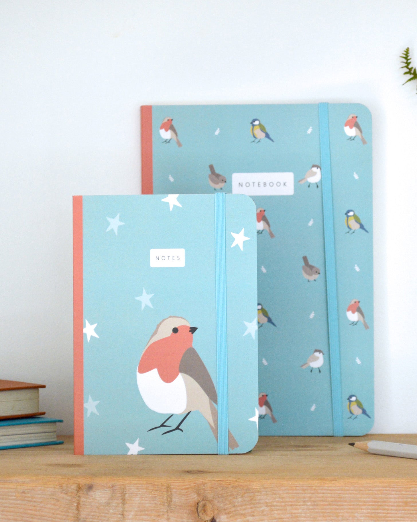 Two notebooks with bird illustrations on a wooden surface