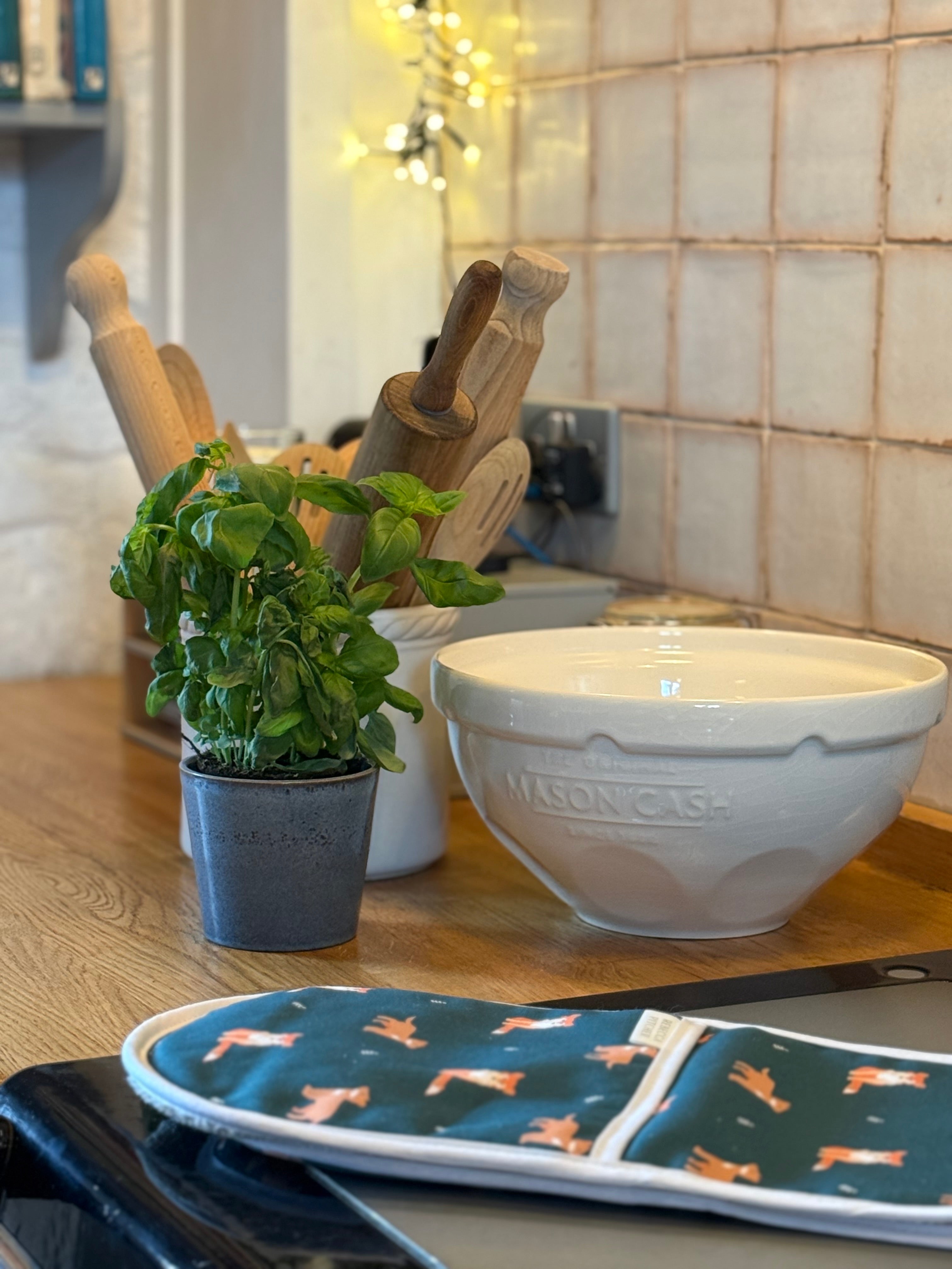 Kitchen counter with a bowl, plant, and fox design oven gloves in a country kitchen setting.