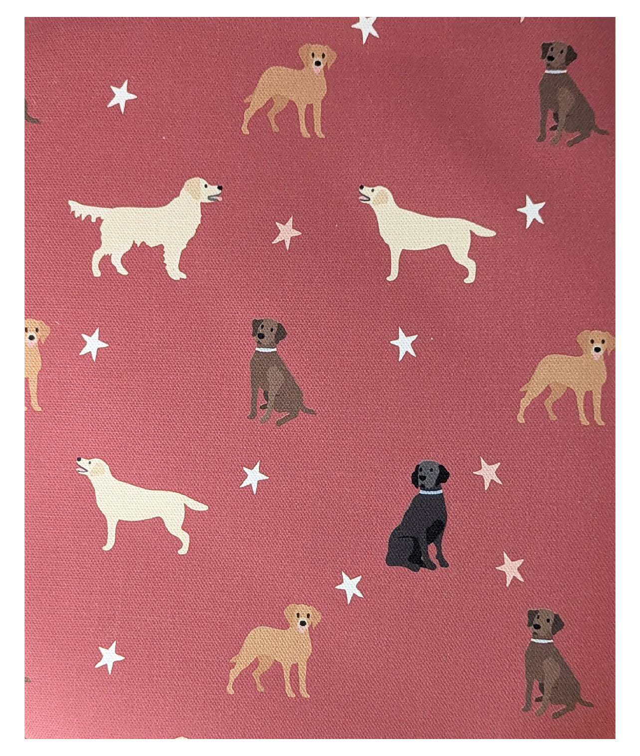 Labrador Fabric
