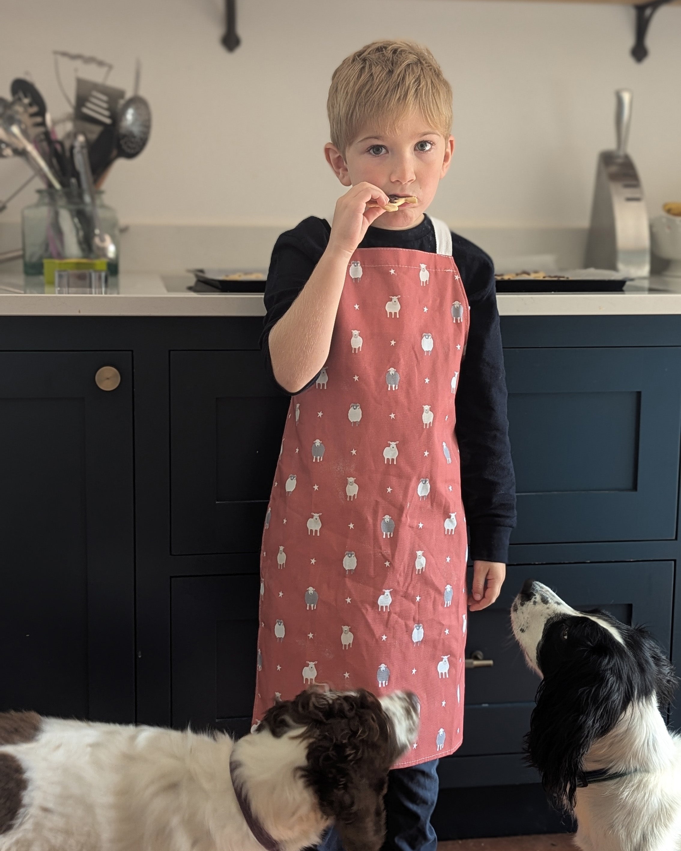 Child in a kitchen wearing a red apron with sheep patterns, surrounded by two dogs.
