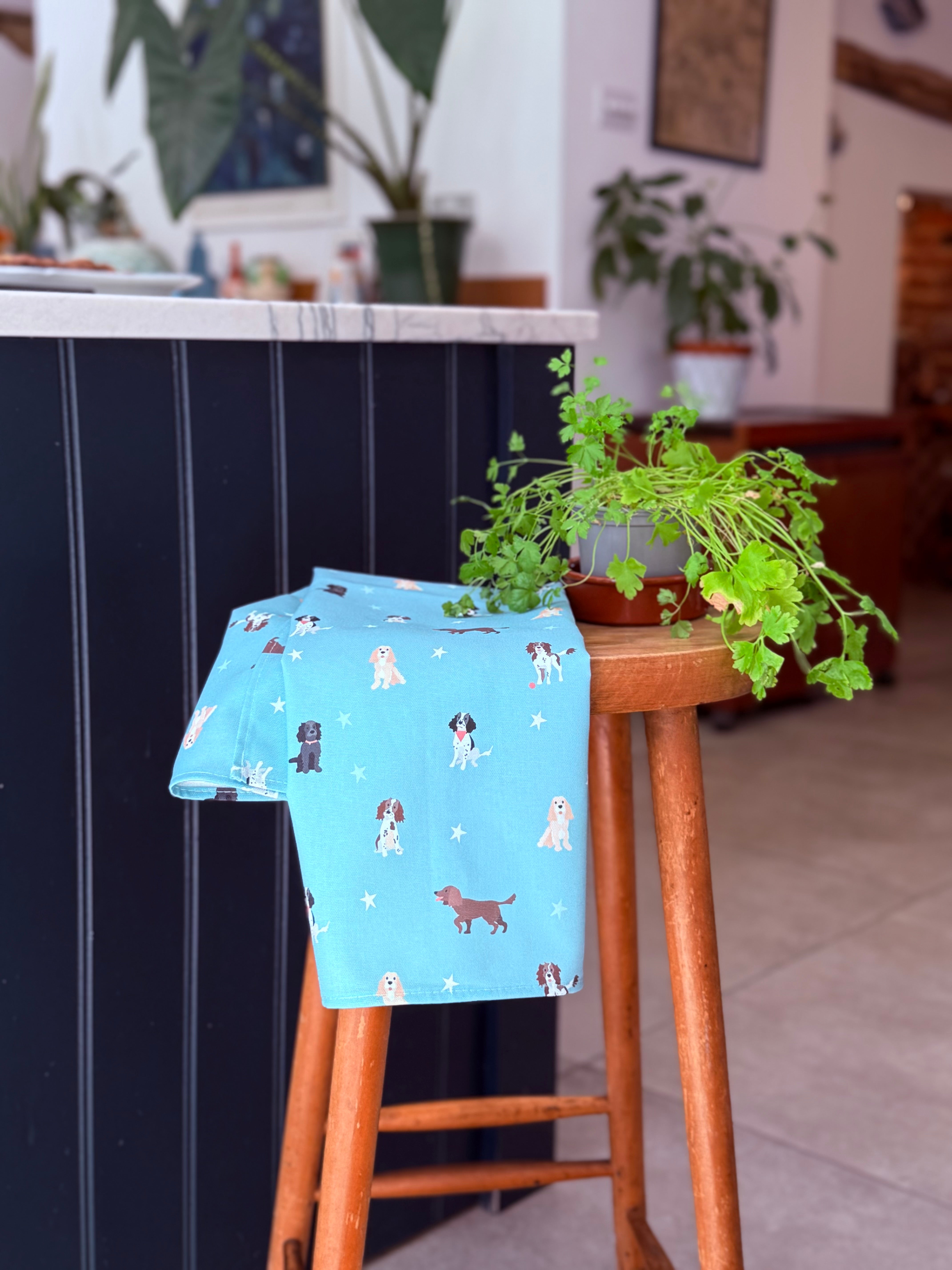 Blue towel with spaniel dog pattern on a wooden stool in a country kitchen with plants and furniture.